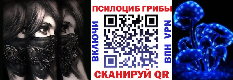 Купить  Красный Сулин  Псилоцибиновые грибы GOLDEN TEACHER 