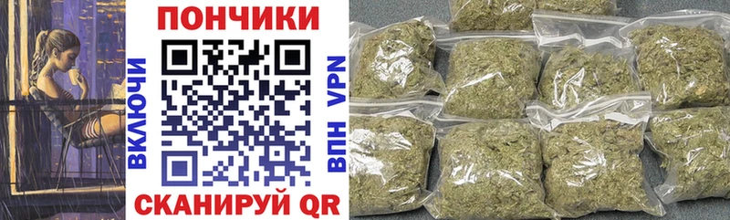 Купить закладки  Красный Сулин  Канабис сатива 